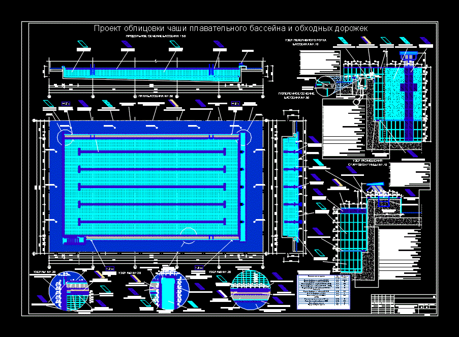 swimming pool details in cad